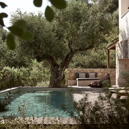 Zayn Luxury Villas, A Serene Escape, By Thinkvilla Tsilivi  Ngoại thất bức ảnh
